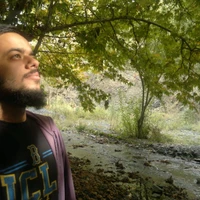 Saied Alimoradi's profile picture