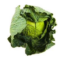 ChouBERT's profile picture