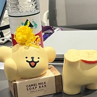 Cissy Xie's profile picture