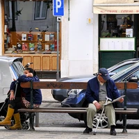 Vision Science Lab's profile picture