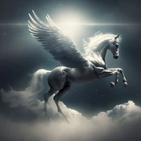 Buraaq's profile picture