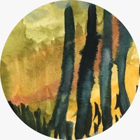 Maitha Alshaali's profile picture