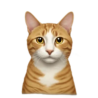 Shubhangi Jethwa's profile picture