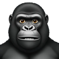 Paco's profile picture