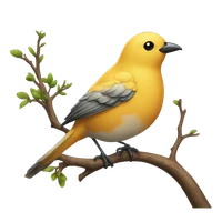 Marie Oestreich's profile picture