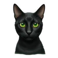 Jovana Rađenović's profile picture