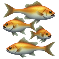 Burcu Kapan's profile picture