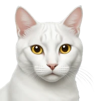 Cristina Scheau's profile picture