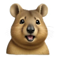 Shirley's profile picture