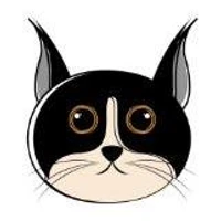 Nadav Sheinbein's profile picture