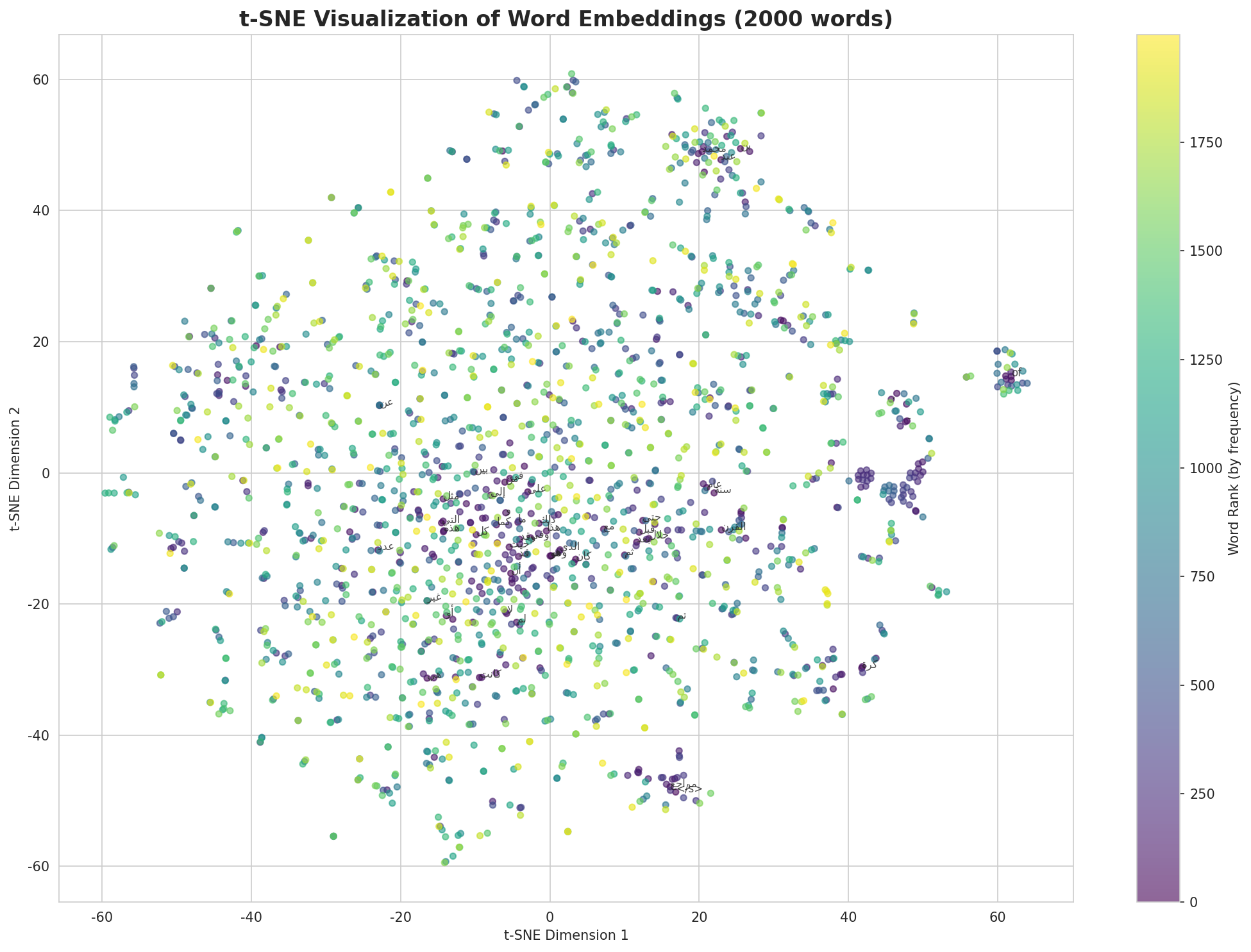 t-SNE Words