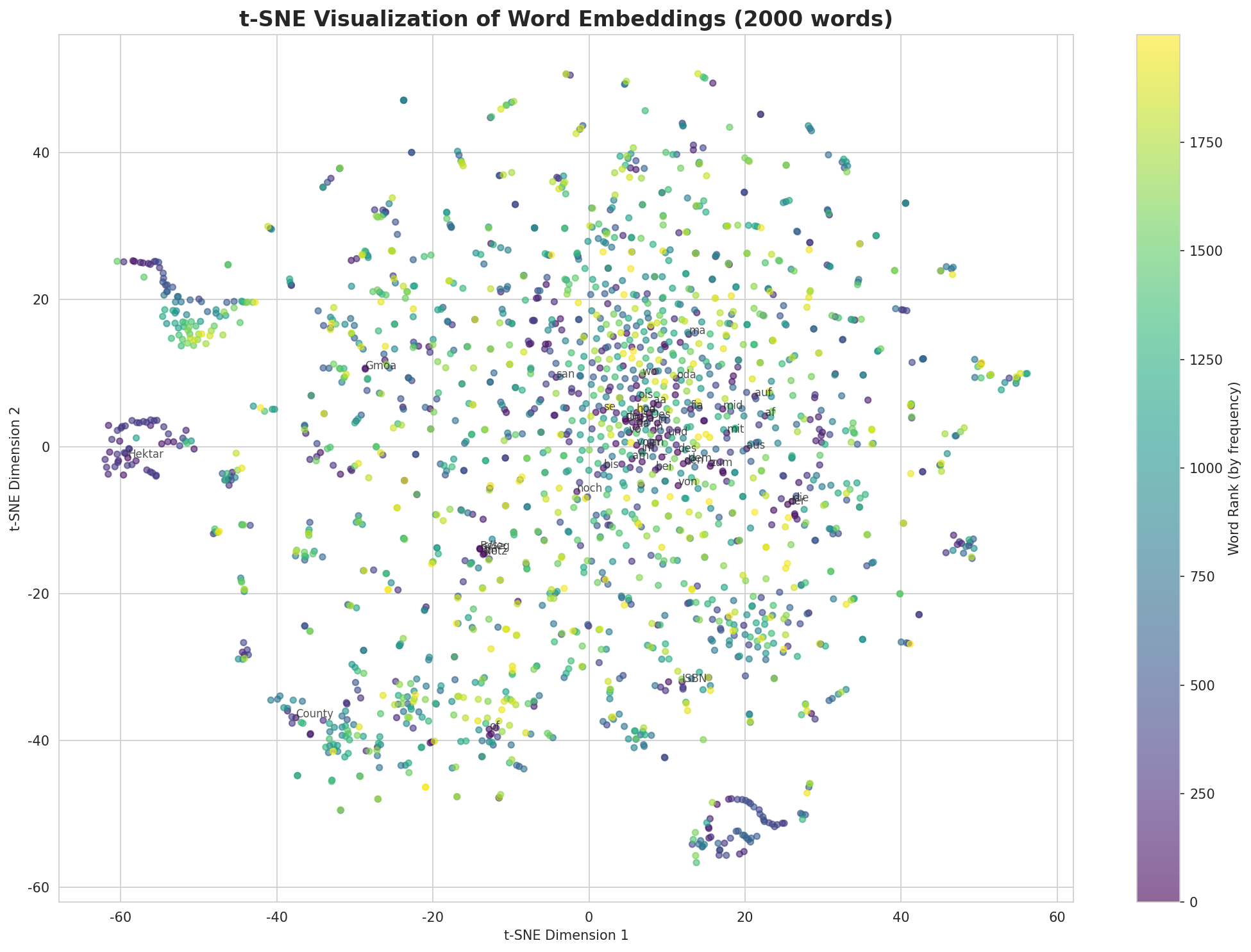 t-SNE Words