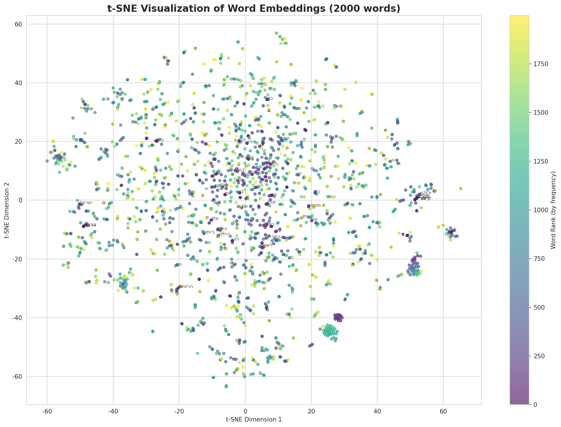 t-SNE Words