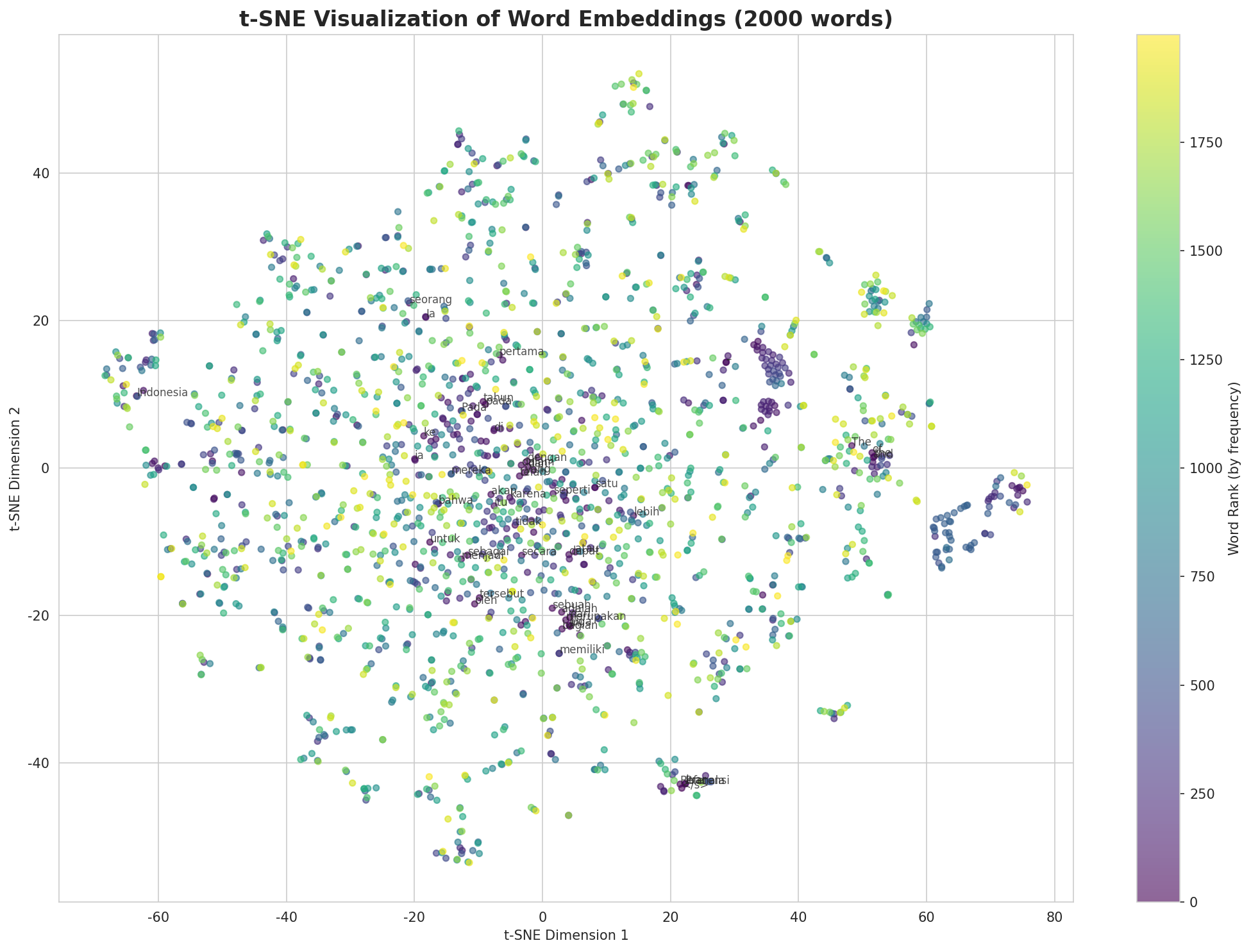 t-SNE Words