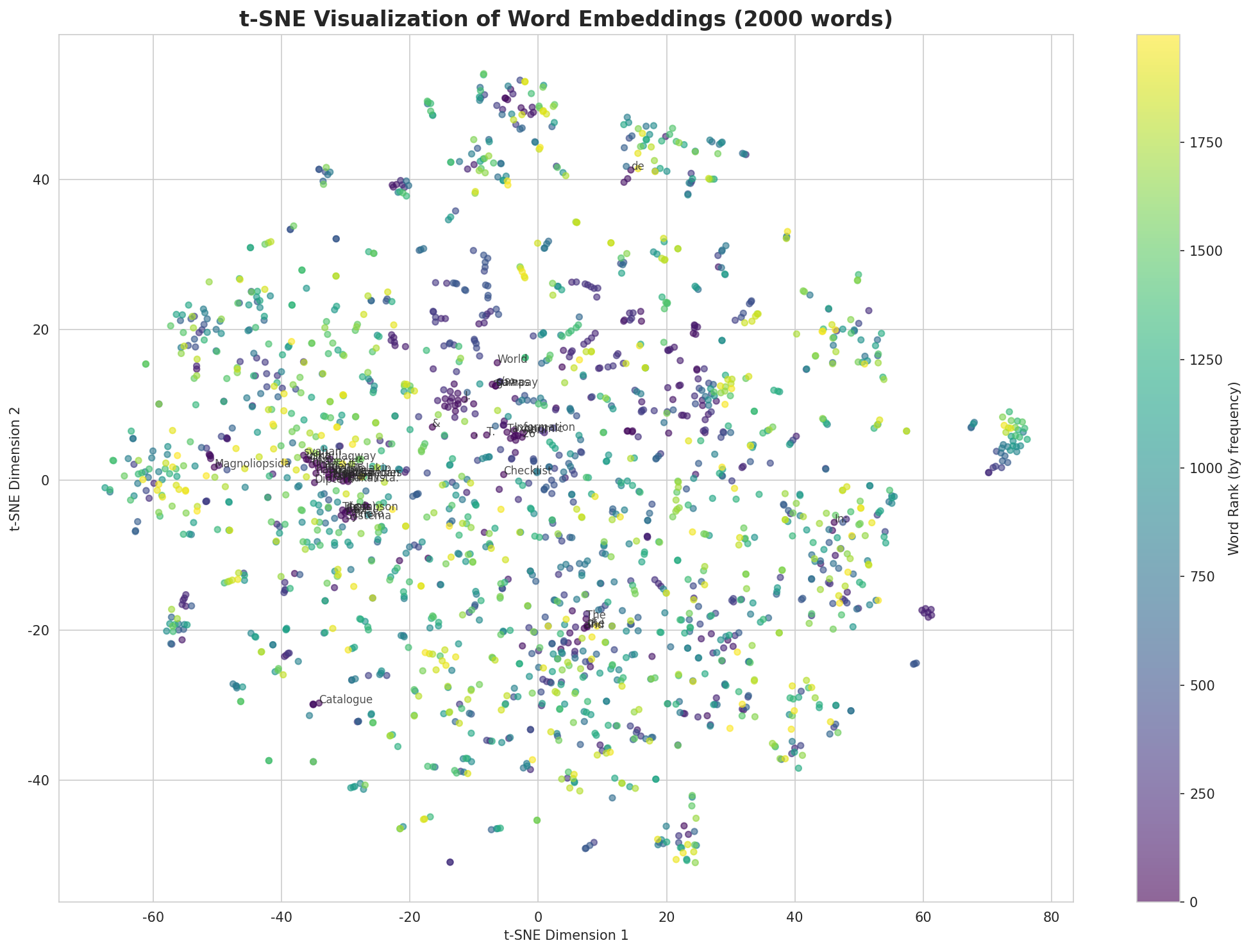 t-SNE Words