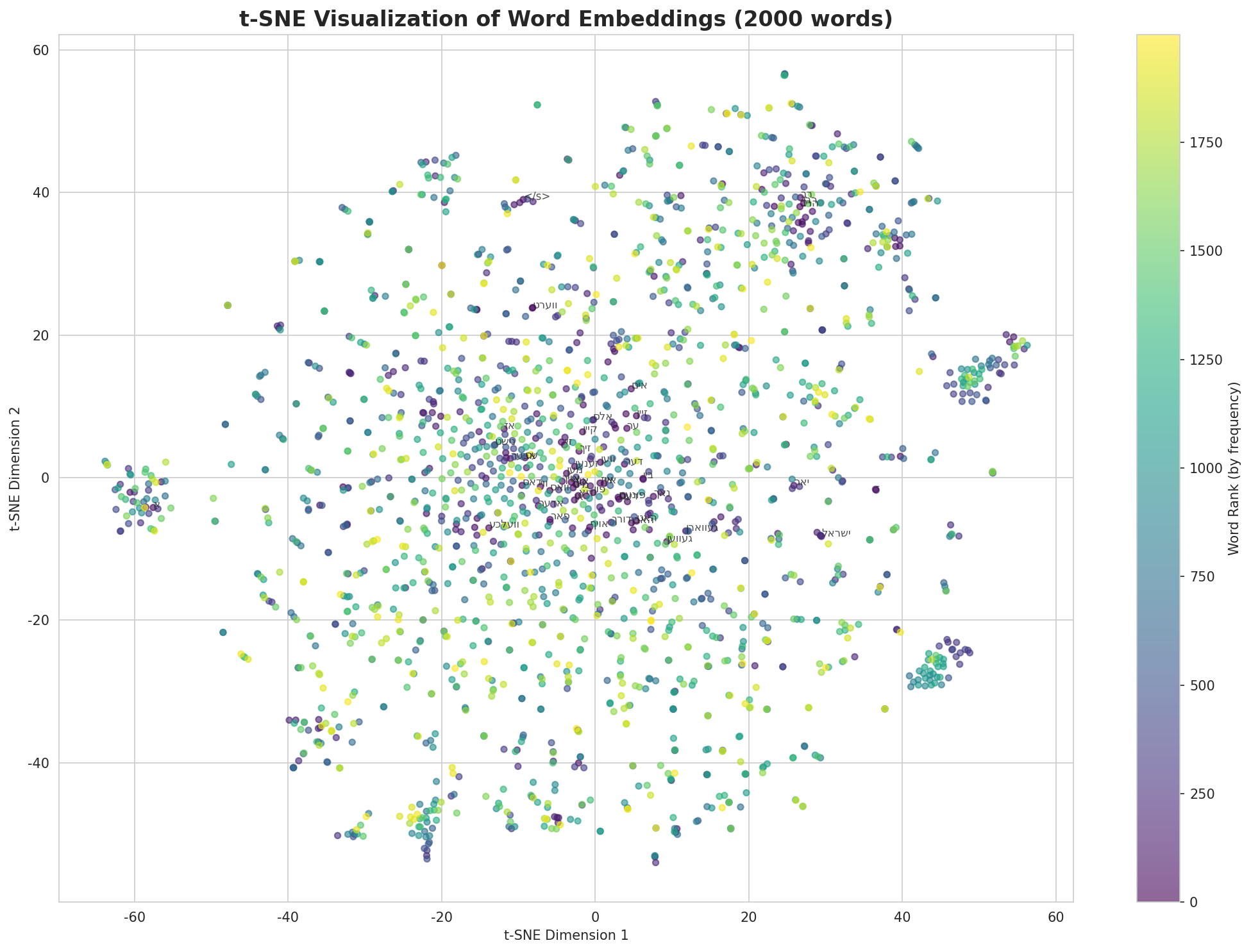 t-SNE Words